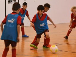 mini-2017-01-29-DSC_4392